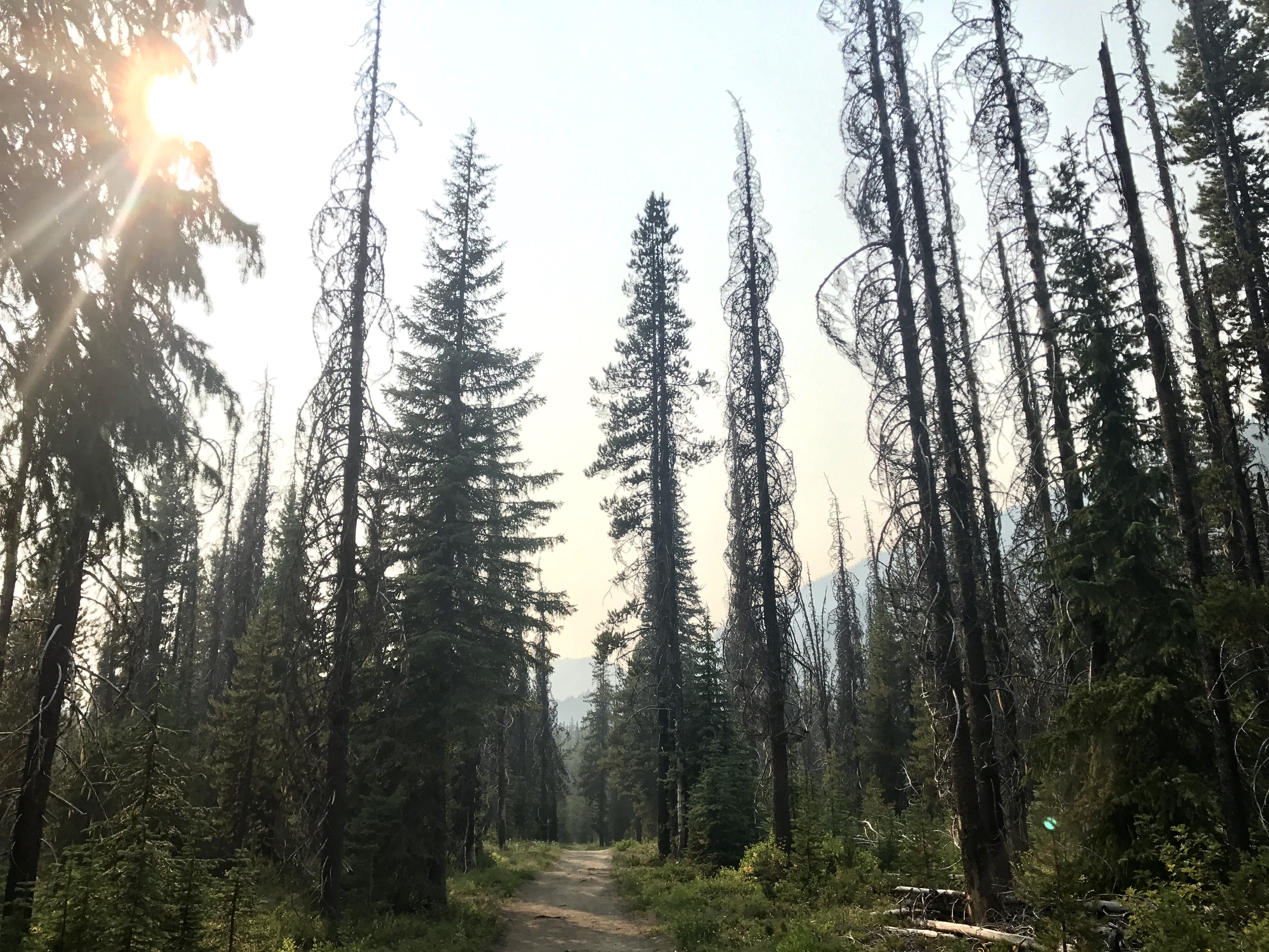 Manning Park Hike